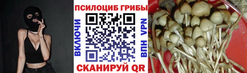 МЕГА онион  даркнет сайт  Сатка  Галлюциногенные грибы Cubensis 